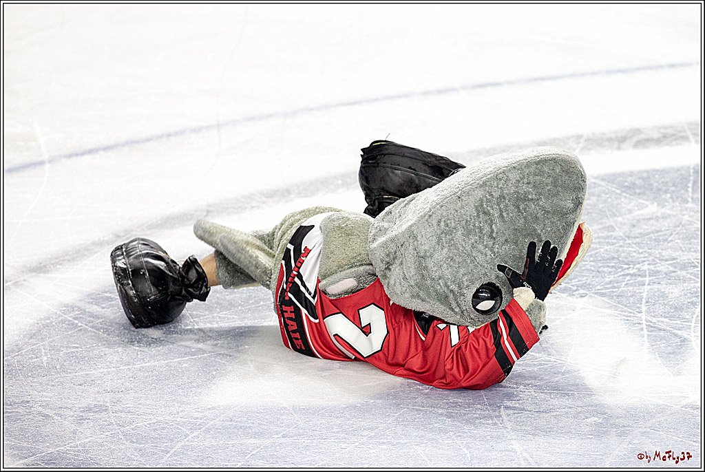 DEL; Koelner Haie - Adler Mannheim, 14.10.2018